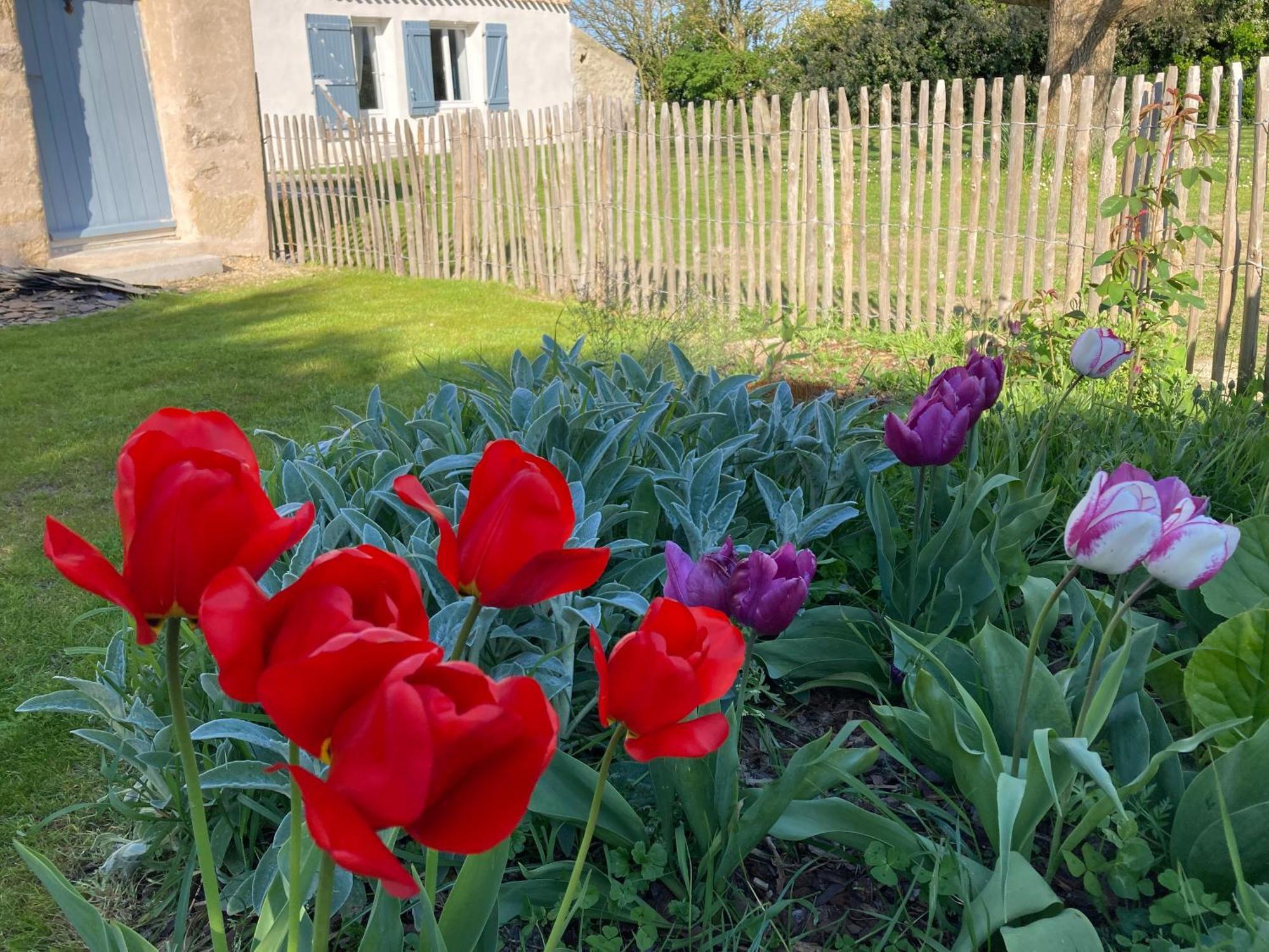 Les Pensions Du Joslin Bouin  Kültér fotó