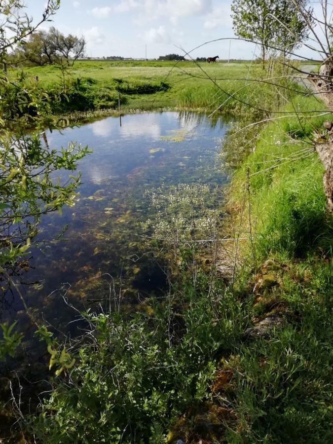 Les Pensions Du Joslin Bouin  Kültér fotó